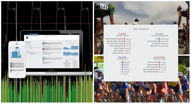 Training Zones: What is the point of training zones?